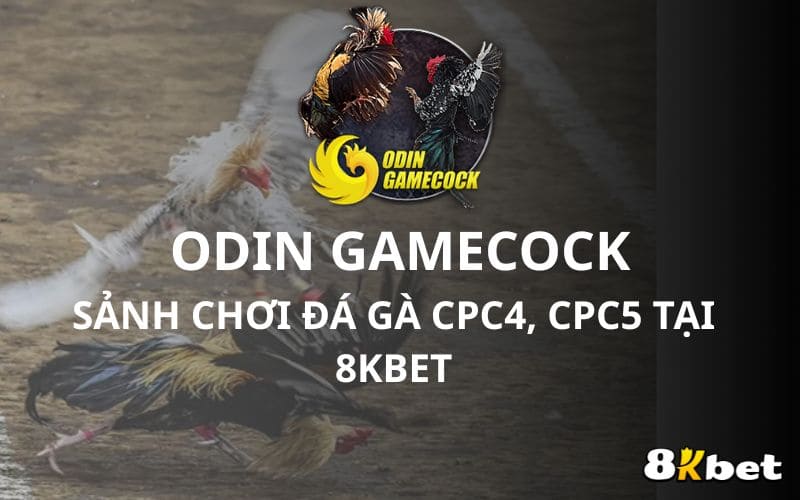 Odin Gamecook - sảnh chơi đá gà C4, C5 tại Đá Gà 8KBET Odin Gamecook - sảnh chơi đá gà C4, C5 tại Đá Gà 8KBET