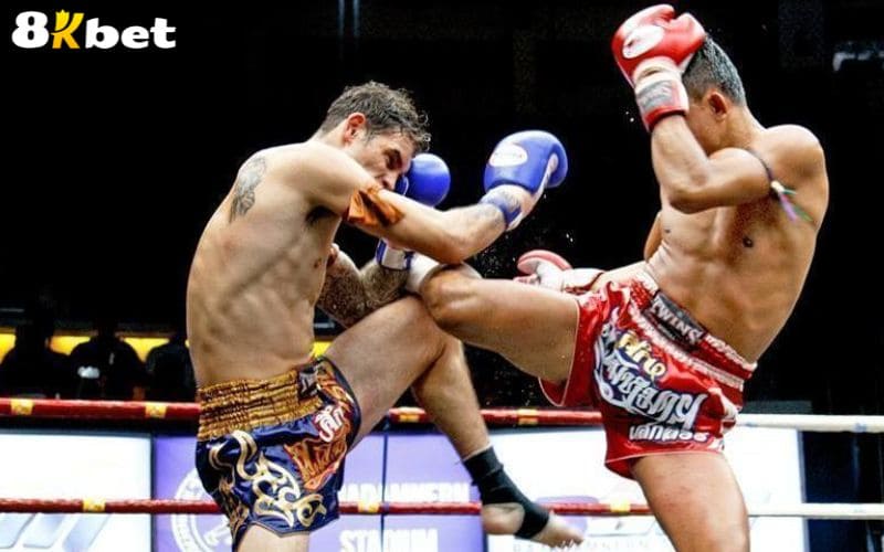 Luật chơi cá cược võ tổng hợp tại Thể Thao 8KBET