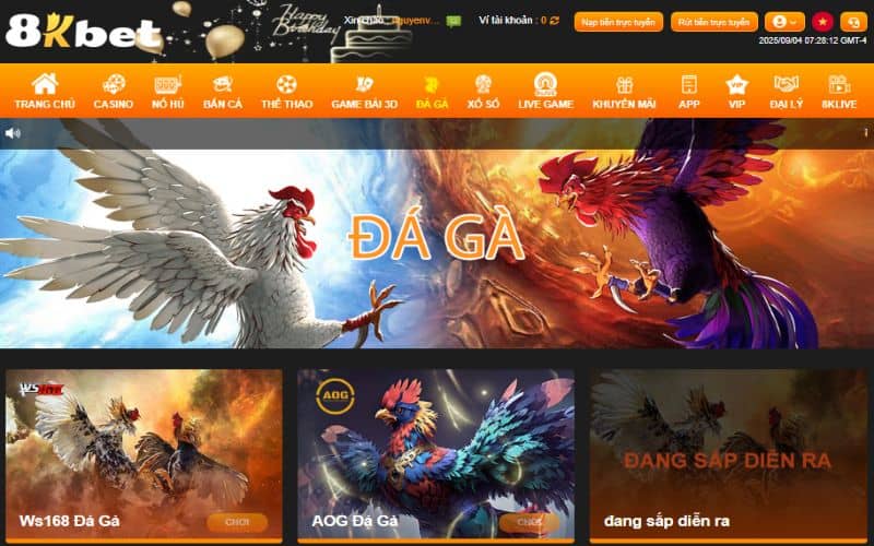 3 sảnh đá gà trực tuyến hàng đầu tại 8KBET 3 sảnh đá gà trực tuyến hàng đầu tại 8KBET
